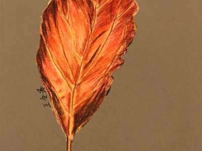 leaf