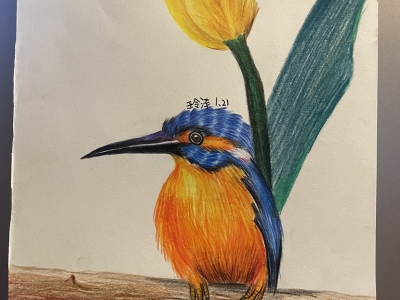 Kingfisher